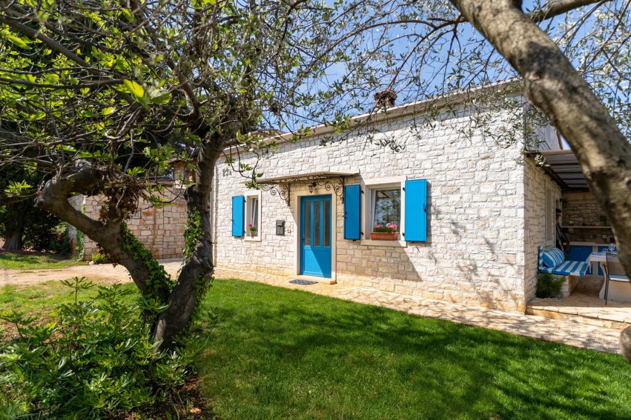 Villa Daulos Novigrad  Exterior photo