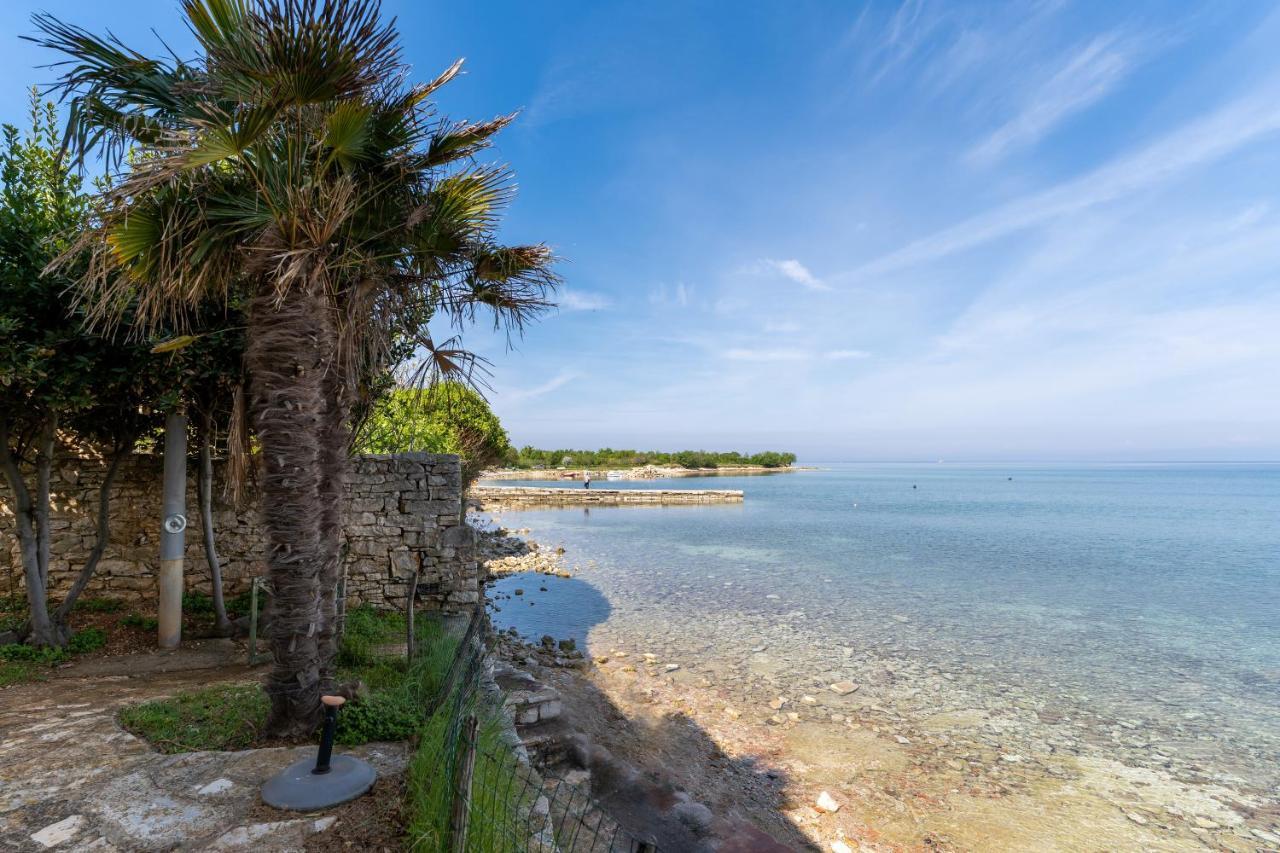 Villa Daulos Novigrad  Exterior photo